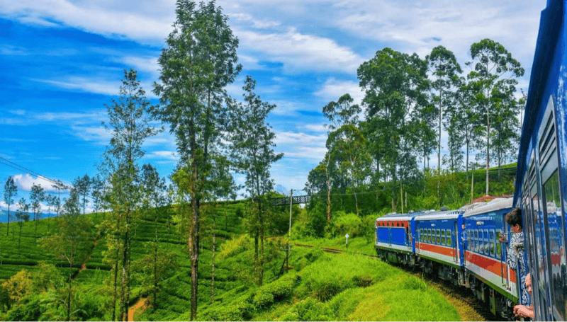 Essence-of-Lanka-61