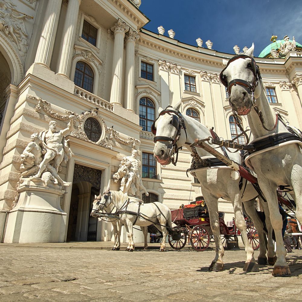 VIENNA-HOFBURG-PALACE